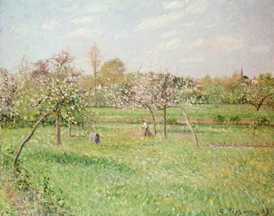 Apple Trees at Gragny, Afternoon Sun by Camille Jacob Pissarro